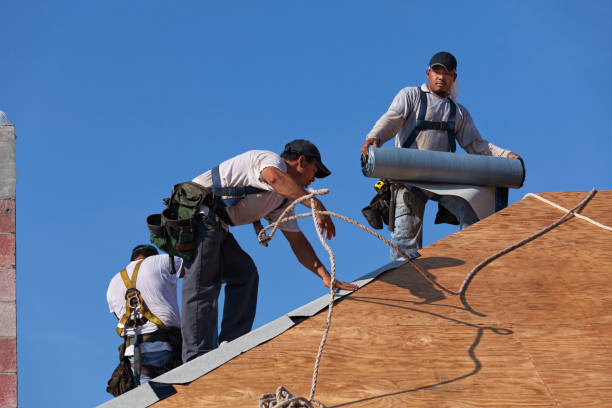 Best Metal Roofing Contractor  in New Port Richey East, FL