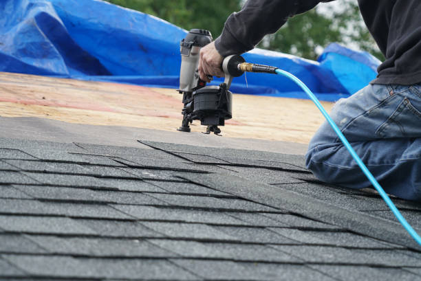 Best Roof Gutter Cleaning  in New Port Richey East, FL